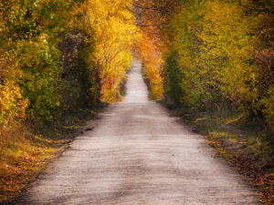 seguir tu camino-retiros
