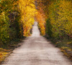 seguir tu camino-retiros