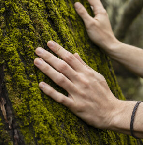 retiro de crecimiento