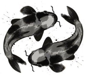 acompañamiento y continuidad